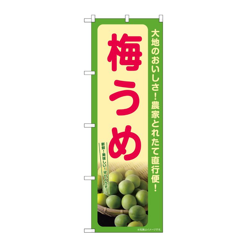 Rakuten - 【1枚】P・O・Pプロダクツ [G] のぼり 梅 うめ SNB-7254 00728913 プロステ