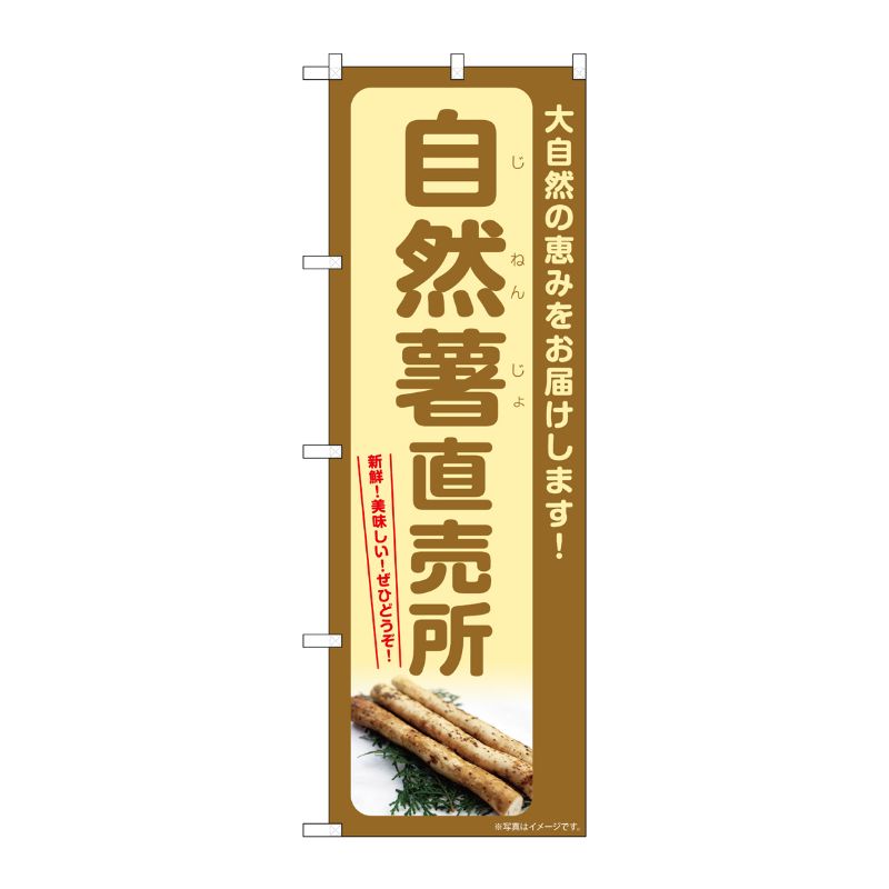 【1枚】P・O・Pプロダクツ [G] のぼり 自然薯直売所 SNB-7280 00728939 プロステ