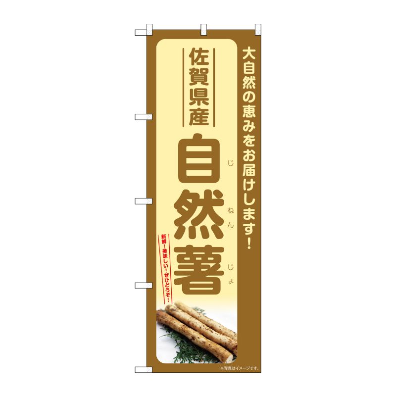 Rakuten - 【1枚】P・O・Pプロダクツ [G] のぼり 自然薯 佐賀県産 SNB-7283 00728942 プロステ