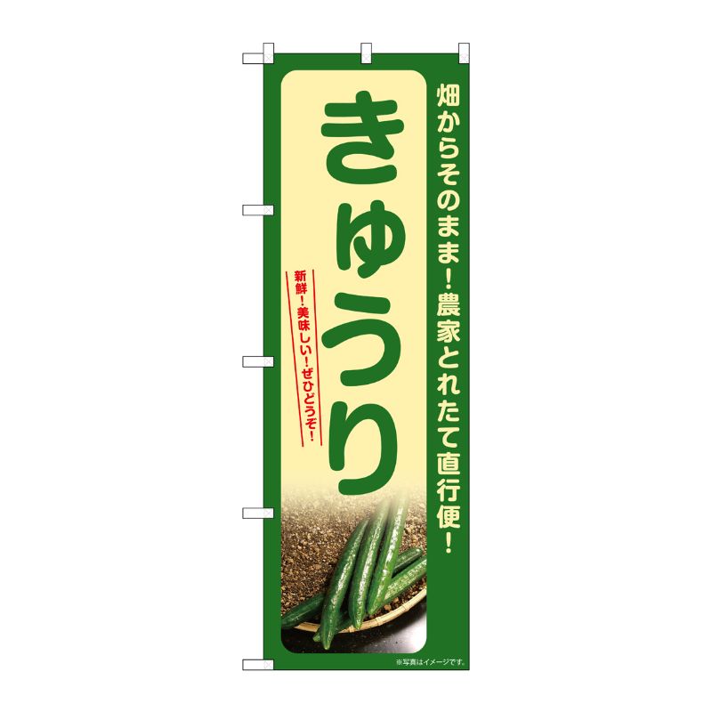 【1枚】P・O・Pプロダクツ [G] のぼり きゅうり SNB-7325 00728984 プロステ