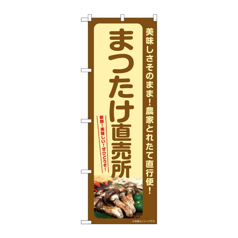 【1枚】P・O・Pプロダクツ [G] のぼり まつたけ直売所 SNB-7352 00729011 プロステ