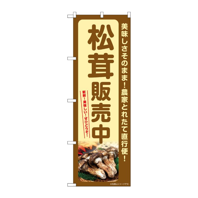 【1枚】P・O・Pプロダクツ [G] のぼり 松茸販売中 SNB-7359 00729018 プロステ