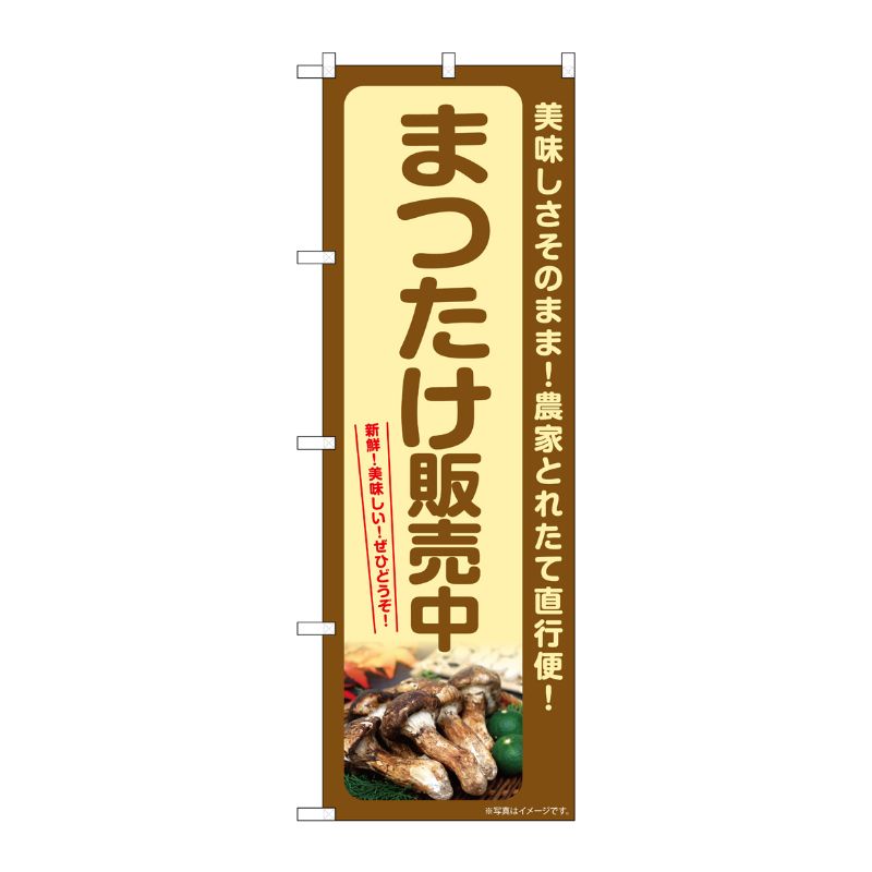 【1枚】P・O・Pプロダクツ [G] のぼり まつたけ販売中 SNB-7360 00729019 プロステ