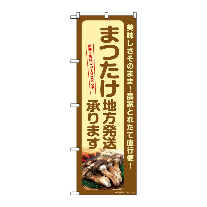 【1枚】P・O・Pプロダクツ [G] のぼり まつたけ 地方発送承ります SNB-7364 00729023 プロステ