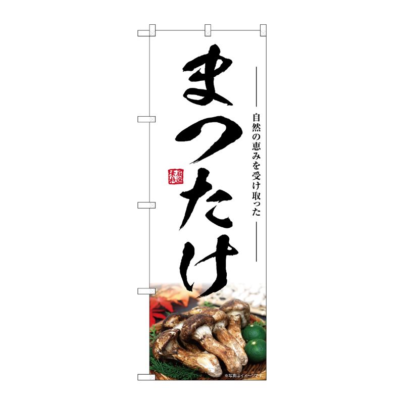 【1枚】P・O・Pプロダクツ [G] のぼり まつたけ SNB-7426 00729085 プロステ