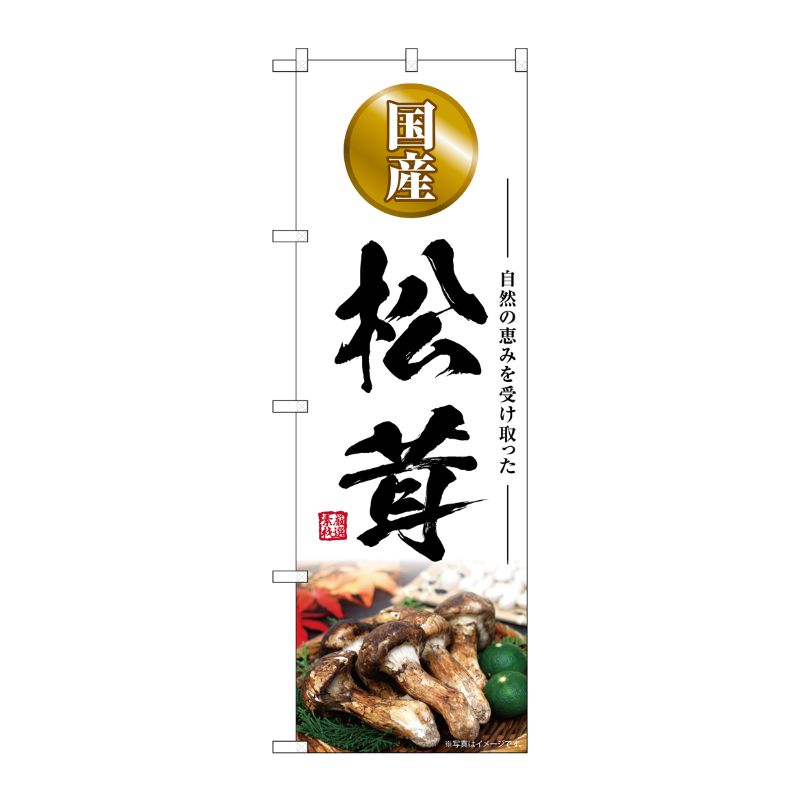 【1枚】P・O・Pプロダクツ [G] のぼり 松茸 国産 SNB-7429 00729088 プロステ