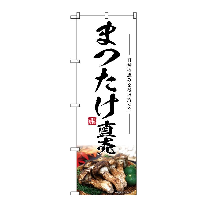 【1枚】P・O・Pプロダクツ [G] のぼり まつたけ直売 SNB-7436 00729095 プロステ