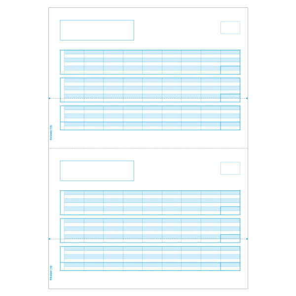 【1冊】プリンター用紙 ヒサゴ 給与明細書 A4タテ 2面 500入 GB1172 00732498 プロステ