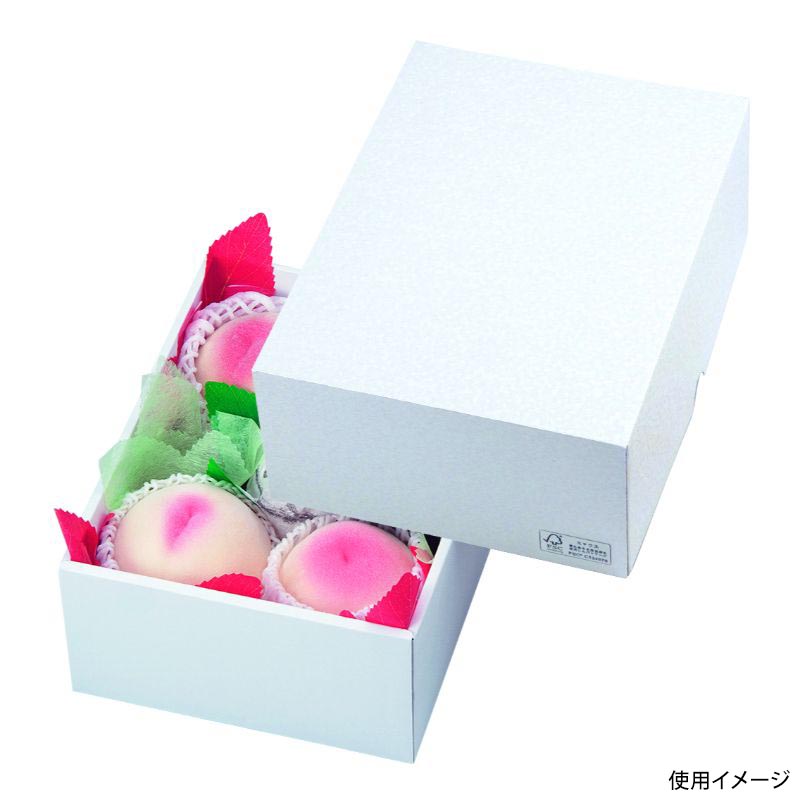 【50組】贈答箱 パール24 FS ヤマニパッケージ 00699144 プロステ