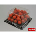 【50点】フルーツ容器 バイオカップ キューブ 15-75B ゲイト 穴4H リスパック 00731160