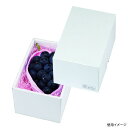【100枚】贈答箱 パール16 FS ヤマニパッケージ 00734062 プロステ