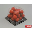 【50点】フルーツ容器 バイオカップ キューブ 11-70B ゲイト 穴4H リスパック 00741957