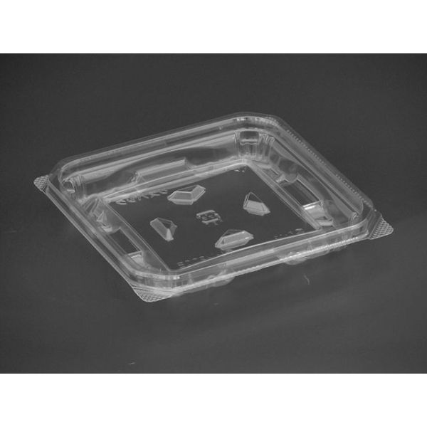 【50点】惣菜容器 バイオカップ モレン 200B リスパック 00743466