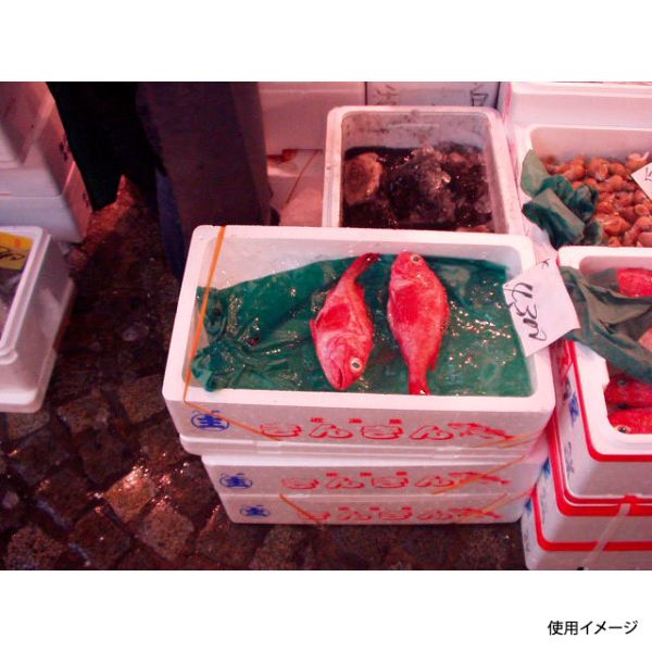 ��20000��������� ���꡼��ѡ��� 21 1/2�� ���ܻ�ѥ�׾��� 00749320 �ץ�����