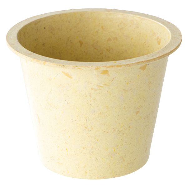 1ۥեХ֡ݥå-S (10) إå 00194655