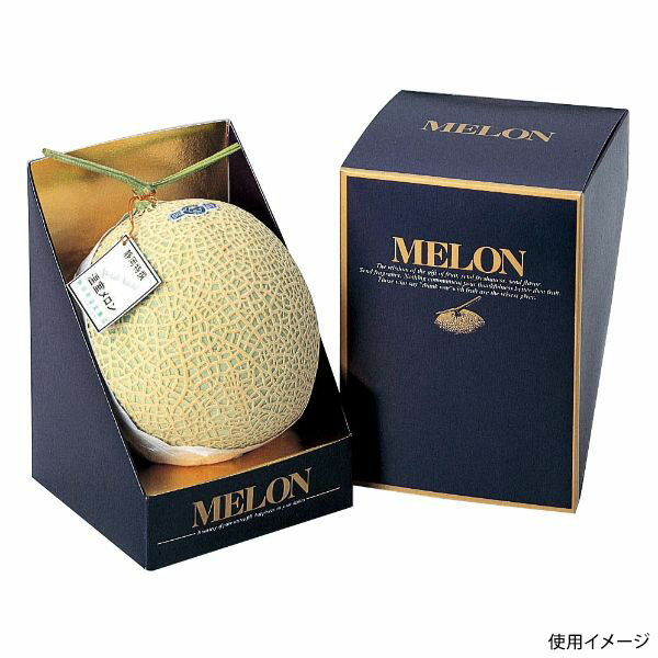 【100点】ギフト箱 L-348 メロン・マチェール ヤマニパッケージ 00225208