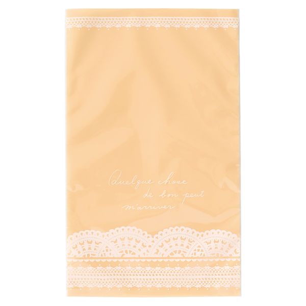 1 ޥåCPPХå-1(50) إå 00261935