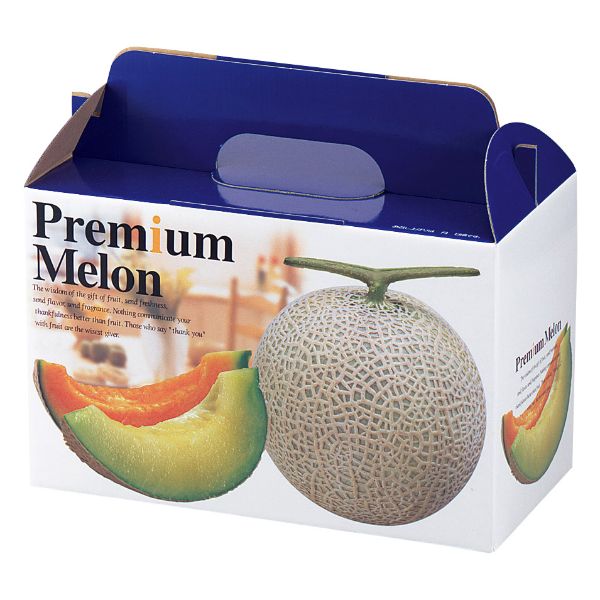 【50点】ギフト箱 L-415 プレミアムメロン2ヶ入 ヤマニパッケージ 00320595