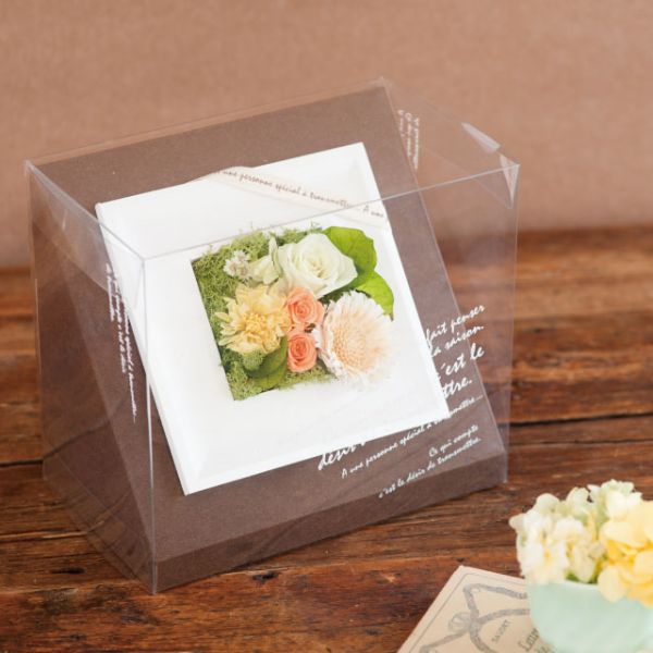 ��1���ۥ��ե�Ȣ BKF �ե����ꥢ�磻��BOX-S �Ф᥹�������(4���å� �إå� 00448976