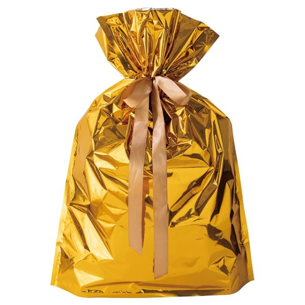 【1点】袋 アルミ蒸着リボン付バッグ-L ゴールド(10枚) ヘッズ 00449921
