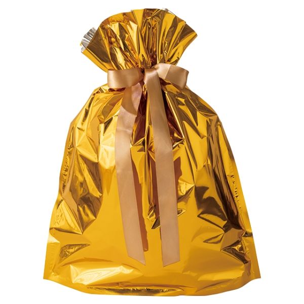 【1点】袋 アルミ蒸着リボン付バッグ-M ゴールド(10枚) ヘッズ 00449932