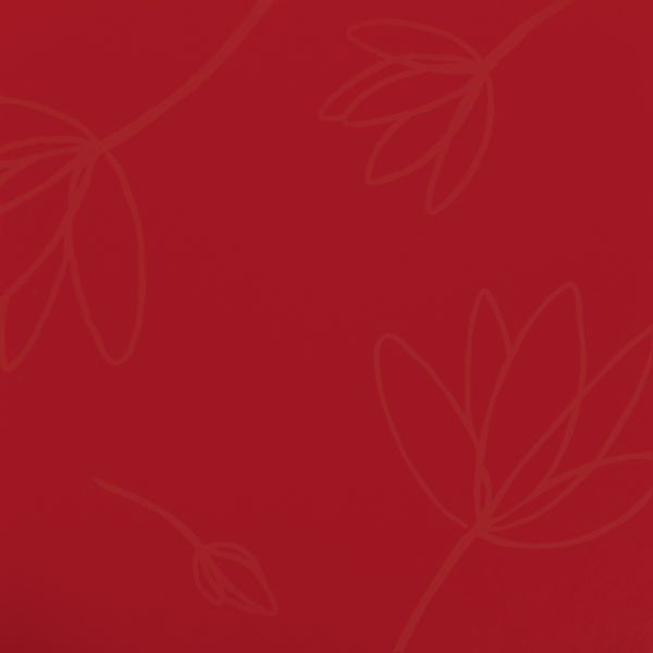 1ۥ쥬 -1(50) إå 00450881