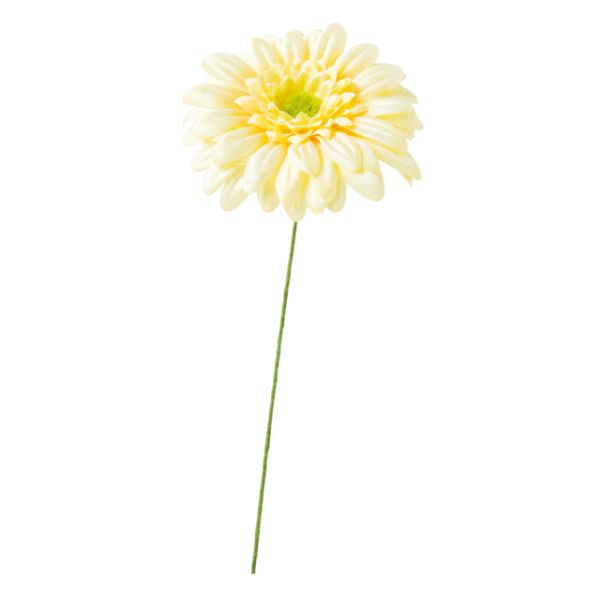 1£Ѿ ٥ե꡼-S ٥ӡ-2(12) إå 00451432