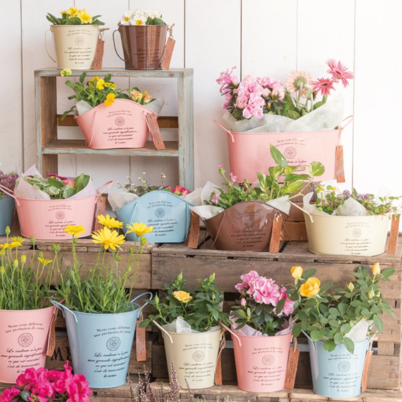 【1点】フラワー什器 カンパーニュブリキバケツ-S アイボリー(6個) ヘッズ 00451883 [3]