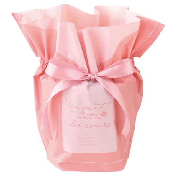 お花屋さん向けに作られた5号苗サイズのリボン付きポットカバー(鉢カバー)です。淡いピンクが印象的で可愛らしいく、お花の魅力をさらに引き立てます。苗を入れてリボンを結ぶだけで簡単に素敵なラッピングが完成します。[マチ形状]底マチ。両面異デザイン。サテンリボン付き。サイズ：W410(205)×H265×D120mm、[厚み]0.08mm材質：塩素化ポリエチレン(ソフト)商品コード00453333メーカー名ヘッズサイズW410(205)×H265×D120mm、[厚み]0.08mm材質塩素化ポリエチレン(ソフト)関連商品(バラ)シルキーピンクリボン付ポットカバー-5(10枚) 1点・注意事項：モニターの発色によって色が異なって見える場合がございます。・領収書については、楽天お客様マイページから、商品出荷後にお客様自身で印刷して頂きますようお願い申し上げます。・本店では一つの注文に対して、複数の送り先を指定することができません。お手数おかけしますが、注文を分けていただきます様お願い致します。・支払い方法で前払いを指定されて、支払いまで日数が空く場合、商品が廃番もしくは欠品になる恐れがございます。ご了承ください。・注文が重なった場合、発送予定日が遅れる可能性がございます。ご了承ください。・お急ぎの場合はなるべく支払い方法で前払い以外を選択いただきます様お願い致します。支払い時期によっては希望納期に間に合わない場合がございます。