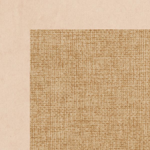 ��1���ۥ���ץ륯����ƥ�������-1(50��) �إå� 00453467