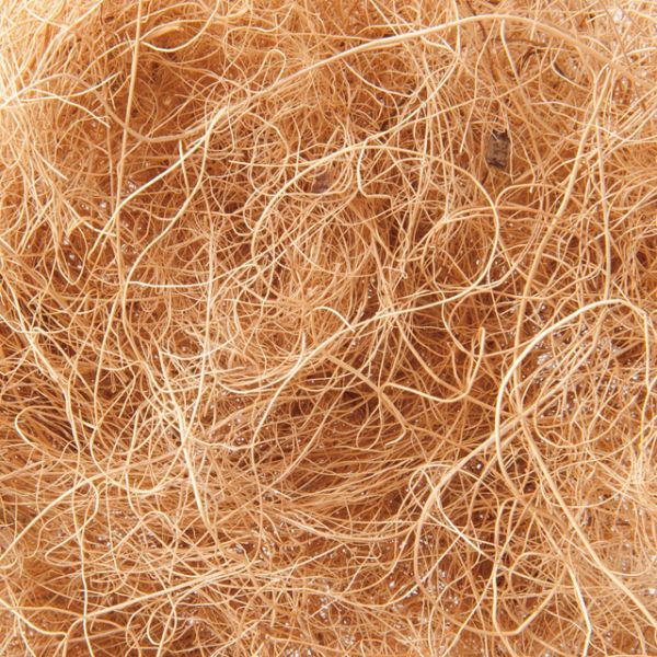 1۴˾׺ եСѥå-ʥå(1) إå 00455188