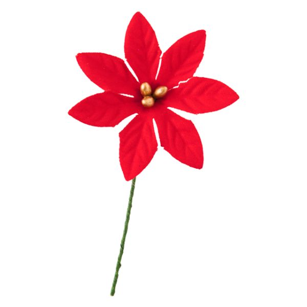 1£Ѿ ݥ󥻥ե꡼-S å-1(10) إå 00456628