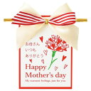 【1点】マザーズデイワイヤータイ-4(10個) ヘッズ 00457163