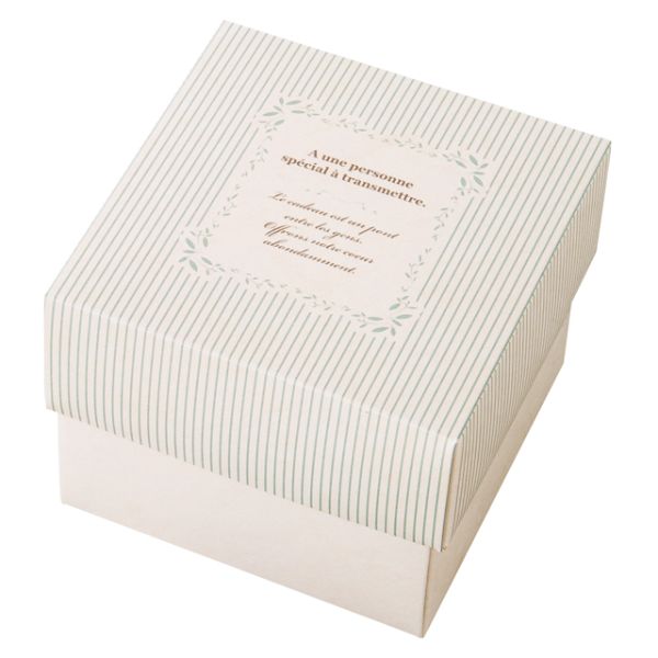 【1点】ギフト箱 ミントストライプギフトBOX-S(10枚) ヘッズ 00457311