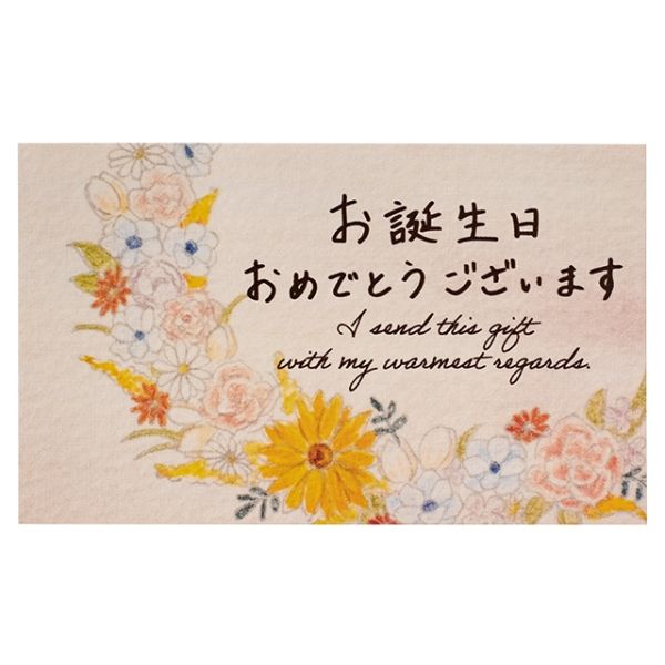 1£Ѿ åɥե-2 (100) إå 00457444