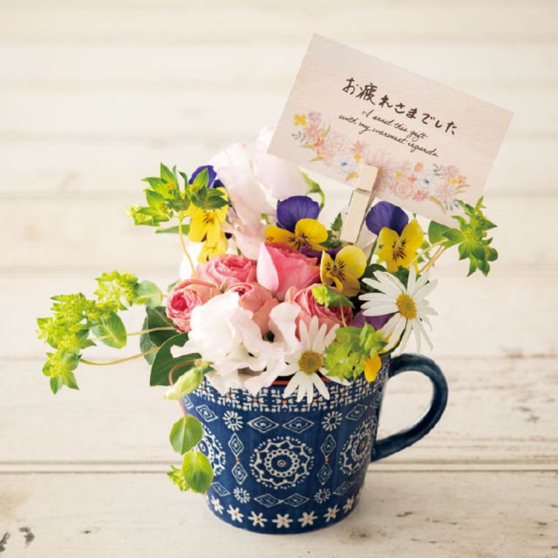 ��1����£���Ѿ��� ��å����������ɥե�-4 ���ĥ��쥵�ޥǥ���(100��) �إå� 00457464