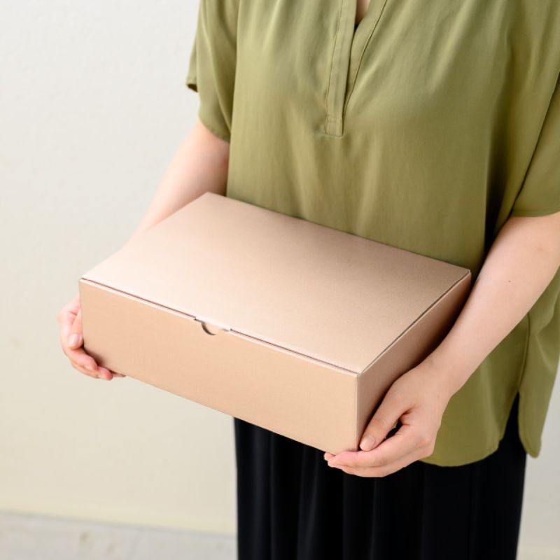 【1点】ギフト箱 無地シャンパンピンクギフトボックス-1(10枚) ヘッズ 00460775 pro-ste-10137691 プロステアウトレット サンプル画像2