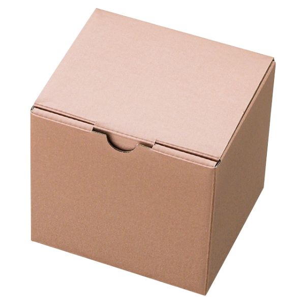 【1点】ギフト箱 無地シャンパンピンクギフトボックス-5(10枚) ヘッズ 00460799
