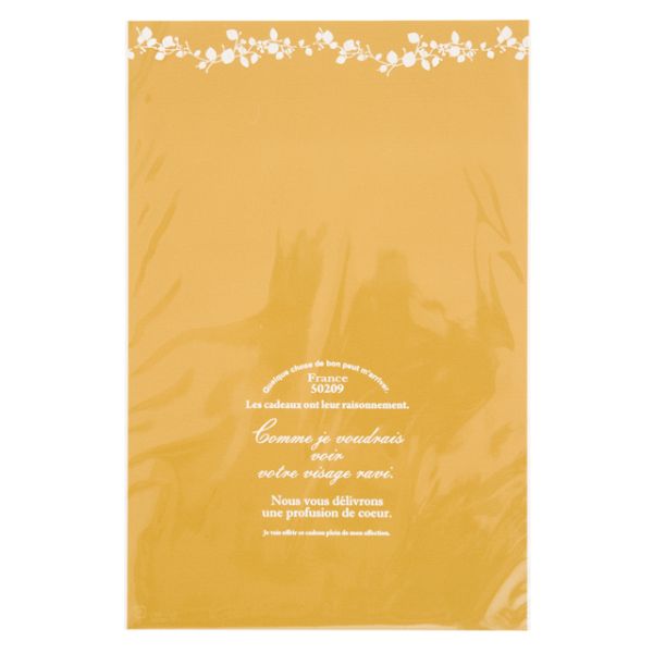 1 ʥХOPPեȥХå-2(50) إå 00464141