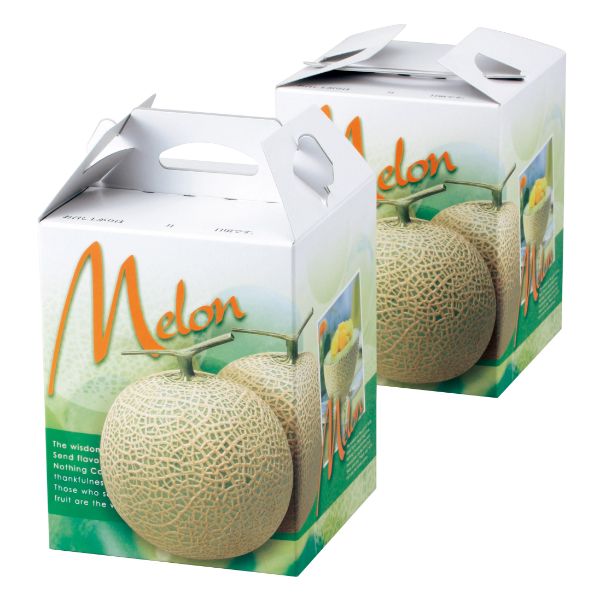 【100点】ギフト箱 L-2169 パラディスメロン1ヶ入手提 ヤマニパッケージ 00500312