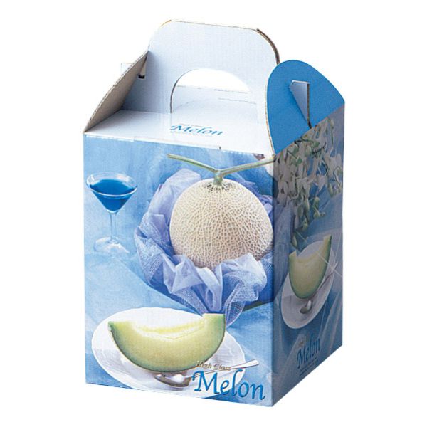 【100点】ギフト箱 L-456 ブリリアントブルーメロン1ヶ入 ヤマニパッケージ 00500313