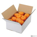 【60点】ギフト箱 L-2232 A式みかん白無地5kg ヤマニパッケージ 00504413