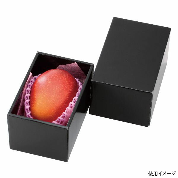 【100点】ギフト箱 L-2278 マンゴー金柑 BOX ヤマニパッケージ 00573859