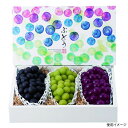 【40点】ギフト箱 L-2369 彩りぶどう3房 ヤマニパッケージ 00582680