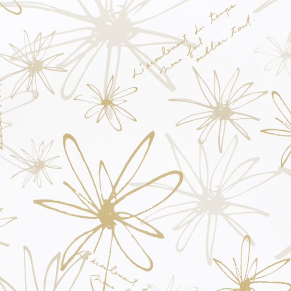 1ۥե -3()(50) إå 00642048