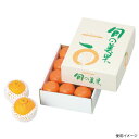 【50点】ギフト箱 L-2098 旬の美果(小) ヤマニパッケージ 00652281