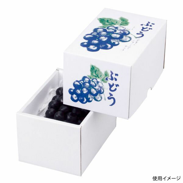 【50点】ギフト箱 L-2161 もぎたてのぶどう(1房) ヤマニパッケージ 00675554