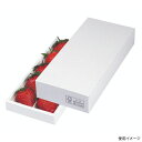 【100点】ギフト箱 L-2401FS パールアソート10FS【FSC認証品・仕切除く】 ヤマニパッケージ 00688932