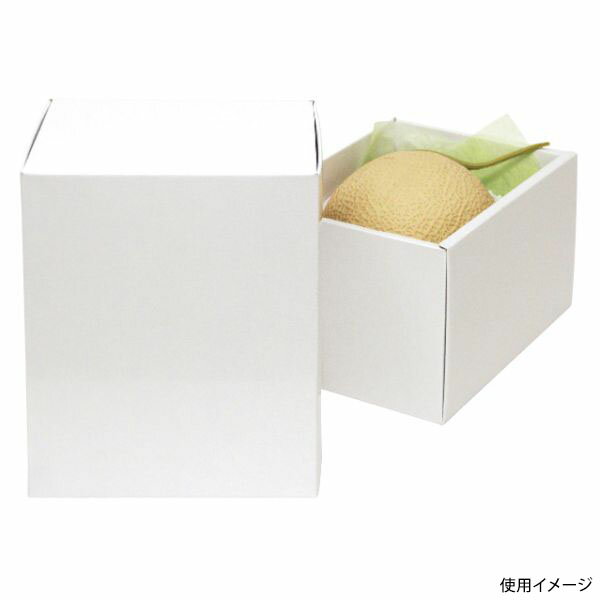 【50点】ギフト箱 L-2236 ホワイト メロン1ヶ入 ヤマニパッケージ 00706878