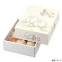 【30点】ギフト箱 L-2193 吉祥の桃2 ヤマニパッケージ 00731890